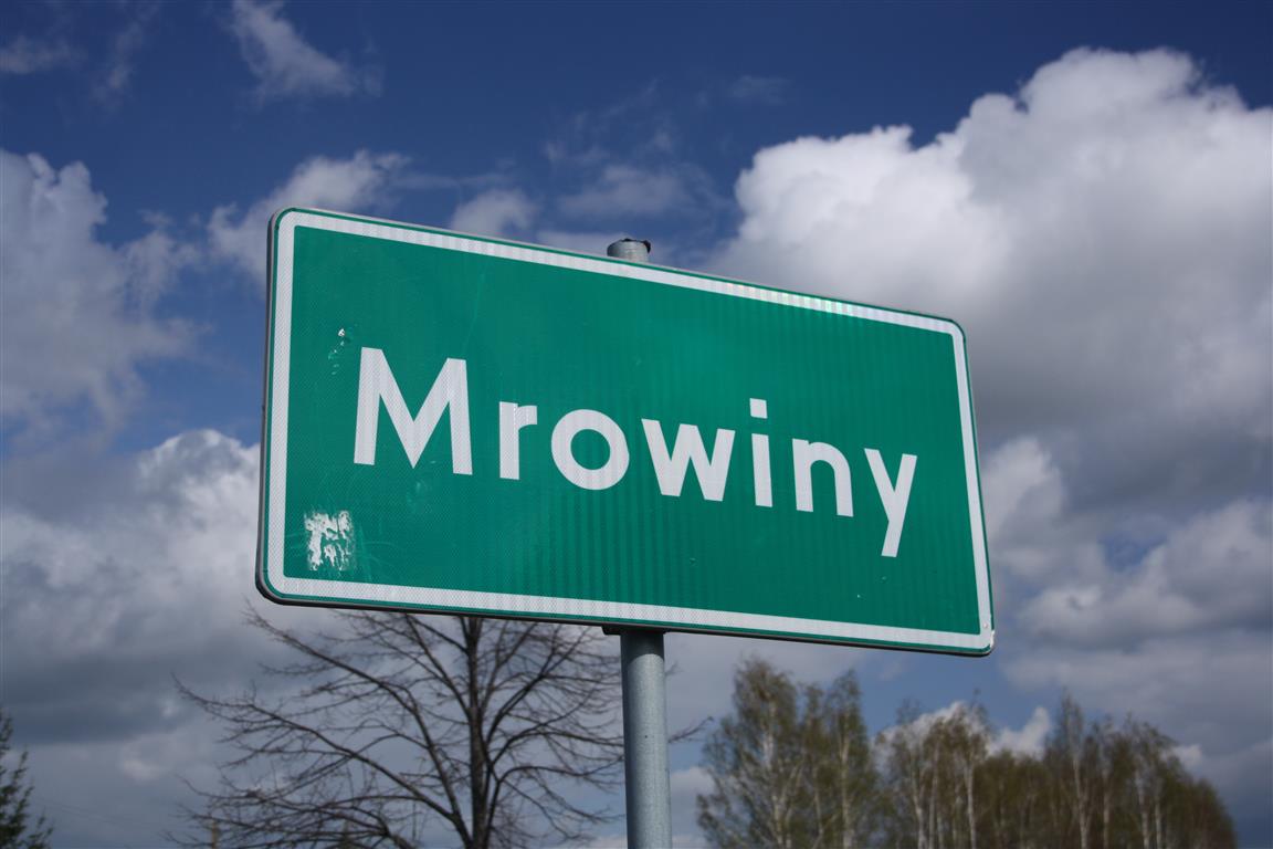 mrowiny (8)